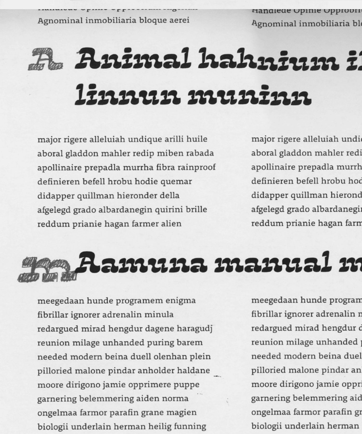 Dalma Typeface - Zrinka Buljubasic - Type and Media 2018